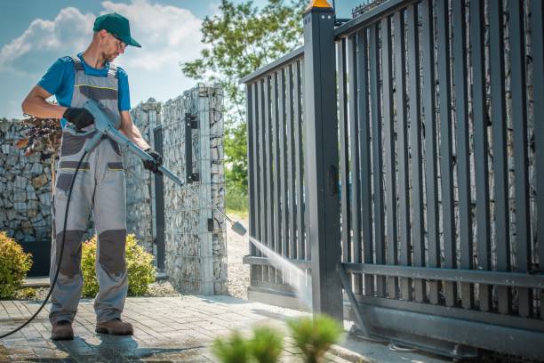 Best Solar Panel Cleaning  in Fresno, TX